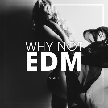 Various Artists - Why Not EDM, Vol. 1