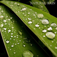 Rain Sounds, Nature Sounds & Rain for Deep Sleep - Natural Rain