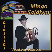 Mingo Saldivar - Vuelve Vuelve
