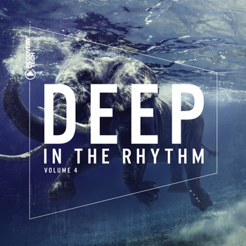 Various Artists - Deep In the Rhythm, Vol. 4