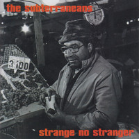 The Subterraneans - Strange No Stranger