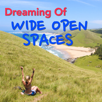 Various Artists - Dreaming Of Wide Open Spaces
