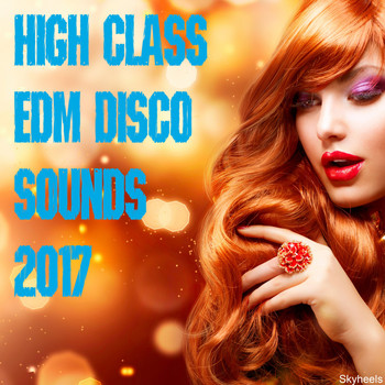Various Artists - High Class EDM Disco Sounds 2017