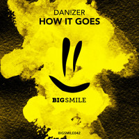 Danizer - How It Goes
