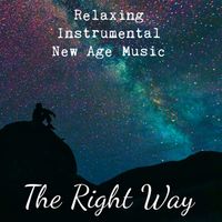 ZeN - The Right Way - Relaxing Instrumental New Age Music for Study Techniques Vibrational Healing and Chakra Therapy with Nature meditative Soothing Sounds
