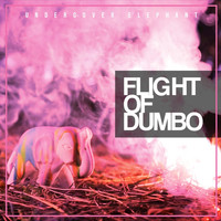 Undercover Elephant - Flight of dumbo