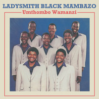 Ladysmith Black Mambazo - Umthombo Wamanzi