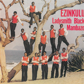 Ladysmith Black Mambazo - Ezinkulu
