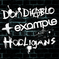 Don Diablo & Example - Hooligans (Wire Remix)