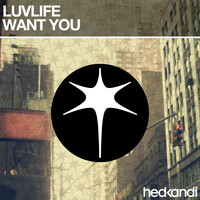 LUVLIFE - Want You