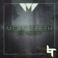 Mean Teeth - Drifter/Forest Funk