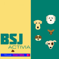Bsj - Activia