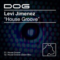 Levi Jimenez - House Groove