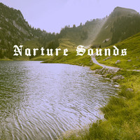 White Noise Research, White Noise Therapy and Nature Sound Collection - Narture Sounds