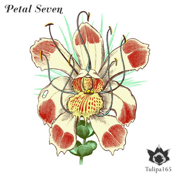 Various Artists - Petal Seven