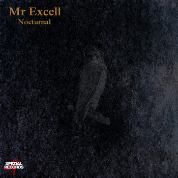 Mr Excell - Nocturnal