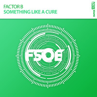 Factor B - Something Like A Cure