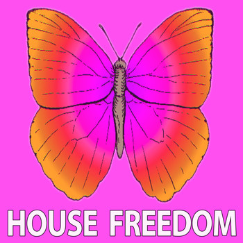 Various Artists - In the House