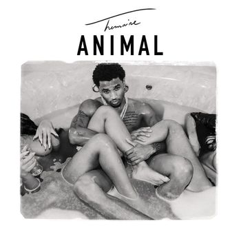 animal trey songz mp3 download
