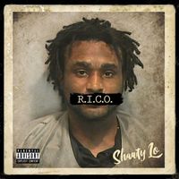 Shawty Lo - B.I.G (feat. Lil Boosie & Alexis Branch) (Explicit)