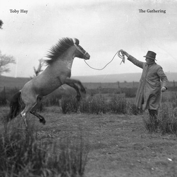 Toby Hay - The Gathering