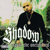 Mr. Shadow - Expekt The Unexpekted (Explicit)