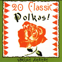 Los Hermanos Farias - 20 Classics Polkas