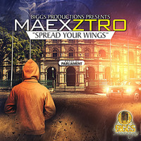 Maexztro - Spread Your Wings - Single