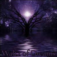 Derek Fiechter - Waltz of Dreams
