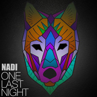 Nadi - One Last Night