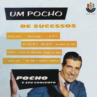 Pocho Perez - Um Pocho de Sucessos