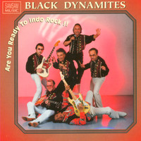 The Black Dynamites - Are You Ready to Indo Rock
