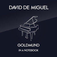 David de Miguel - In A Notebook