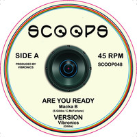 Vibronics - Are You Ready / Jah Jah's House