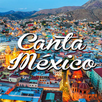 NMR Digital - Canta México