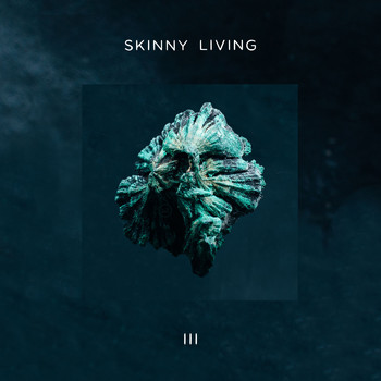 Skinny Living - 3