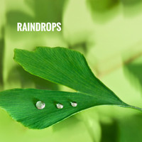 Relaxing Rain Sounds, Sleep Rain and Soothing Sounds - Raindrops