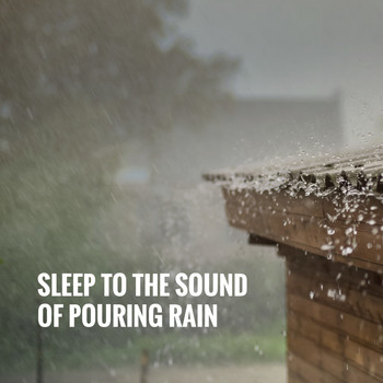 White Noise Research, Sounds of Nature Relaxation and Nature Sounds Artists - Sleep To The Sound Of Pouring Rain