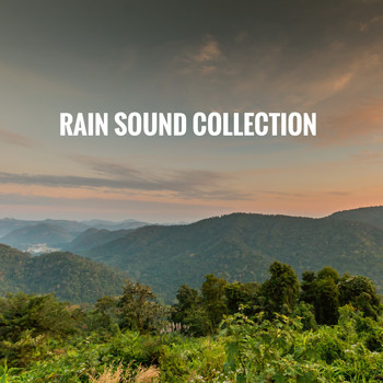Rain Sounds, White Noise Therapy and Sleep Sounds of Nature - Rain Sound Collection