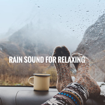 White Noise Research, Sounds of Nature Relaxation and Nature Sounds Artists - Rain Sound For Relaxing
