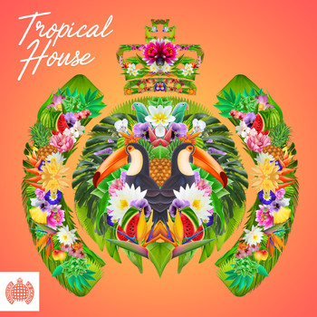 Various - Tropical House - Ministry of Sound (Explicit)