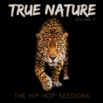Various Artists - True Nature: The Hip Hop Sessions, Vol. 11 (Explicit)