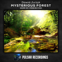 Dawid Jurzyk - Mysterious Forest