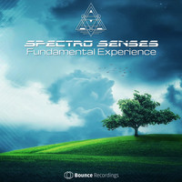 Spectro Senses - Fundamental Experience