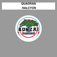 Quadran - Halcyon