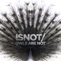 Owls Are Not - isnot