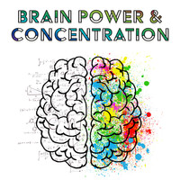 Konzentration Musikexperten - Brain Power & Concentration – Best Classical Music for Study, Stress Relief, Focus, Better Memory, Bach, Mozart
