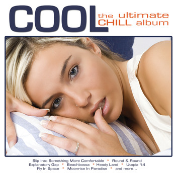 Various Artists - Cool The Ultimate Chill Album