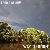 Benny D Williams - Way to Burn