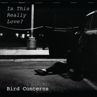 Bird Concerns - Is This Really Love?